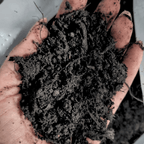 Multi-Purpose Welsh Compost | Peat-Free 0–20mm Compost Mulch
