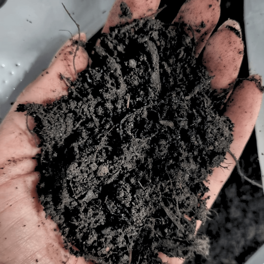 Multi-Purpose Welsh Compost | Peat-Free 0–20mm Compost Mulch