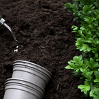 Multi-Purpose Welsh Compost | Peat-Free 0–20mm Compost Mulch