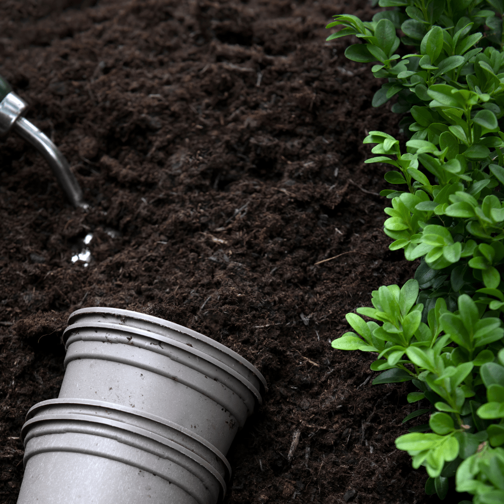 Multi-Purpose Welsh Compost | Peat-Free 0–20mm Compost Mulch