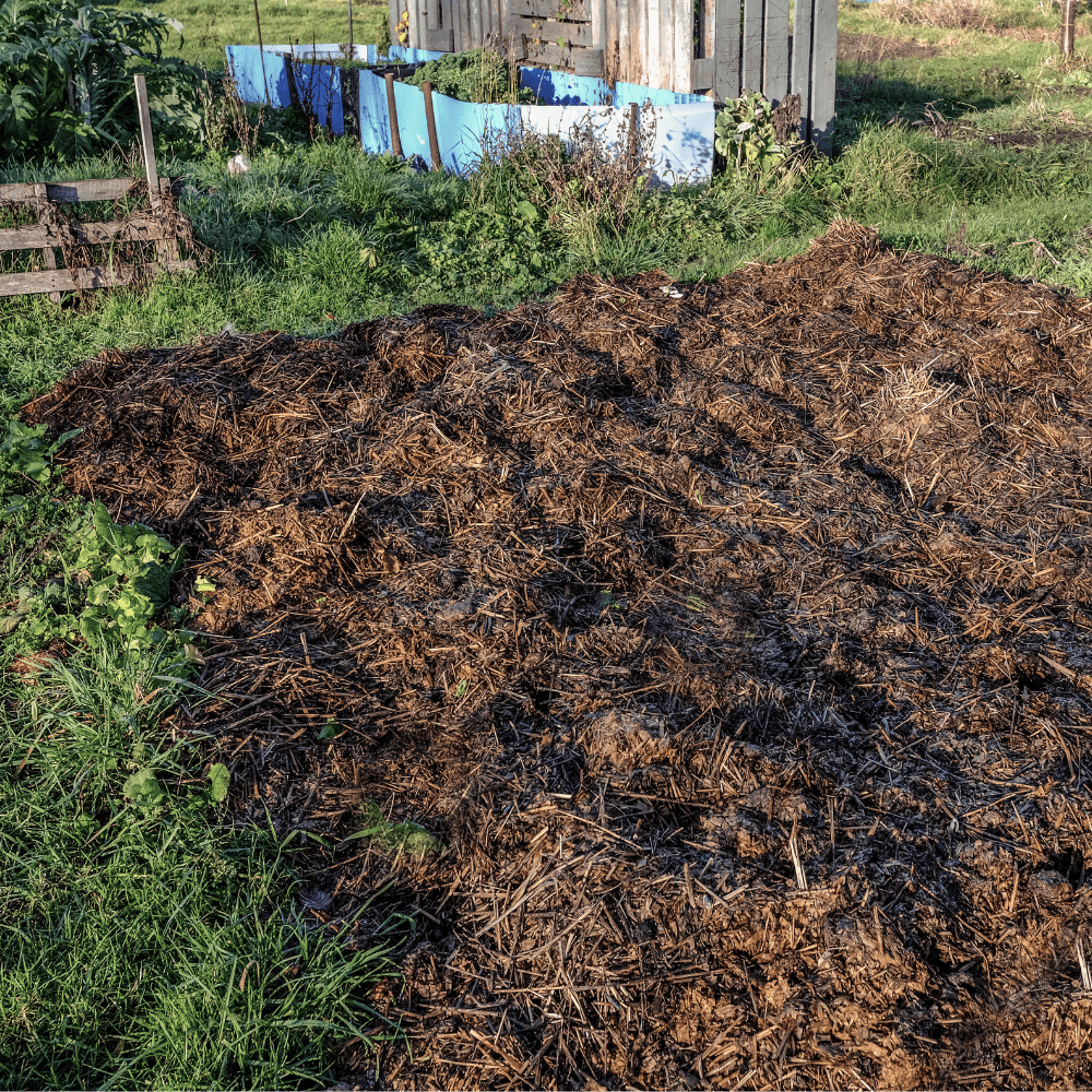 Spent Mushroom Compost | Well-Rotted Manure Soil Improver