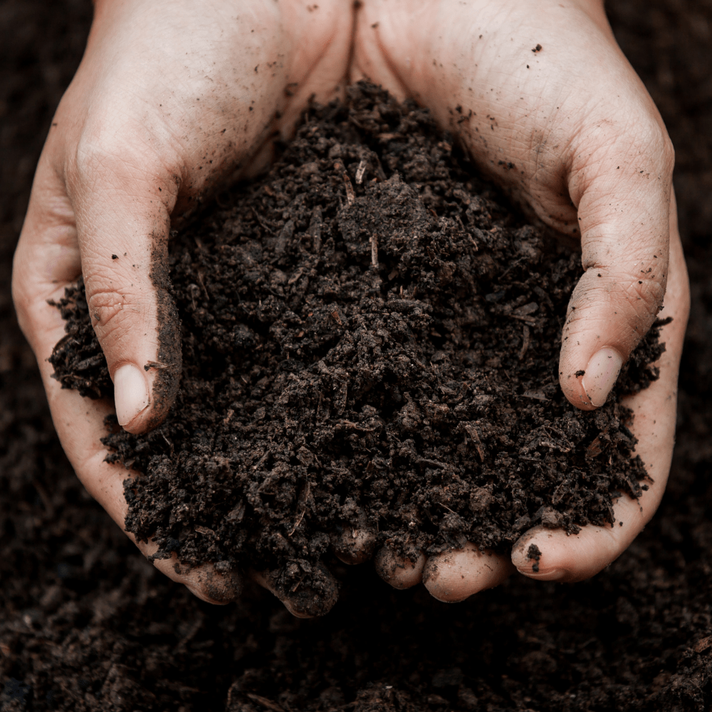 Summermix Compost Mulch | Peat-Free Summer Garden Mulch