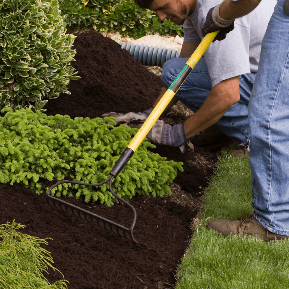 Summermix Compost Mulch | Peat-Free Summer Garden Mulch