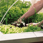 Allotment Starter Pack | Topsoil, Compost, Grit & Membrane