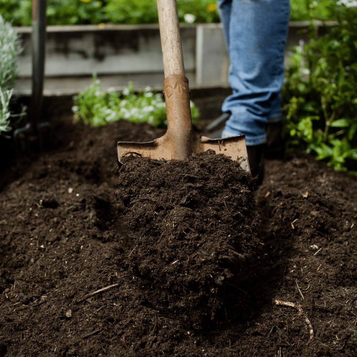 Wintermix Compost Mulch | Autumn & Winter Garden Mulch