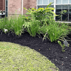 Wintermix Compost Mulch | Autumn & Winter Garden Mulch