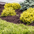 Wintermix Compost Mulch | Autumn & Winter Garden Mulch